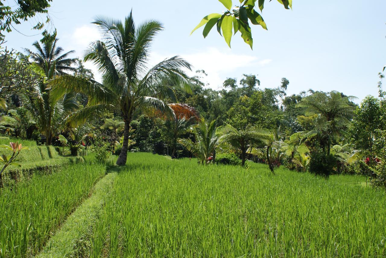 Prana Dewi Mountain Resort Jatiluwih Luaran gambar