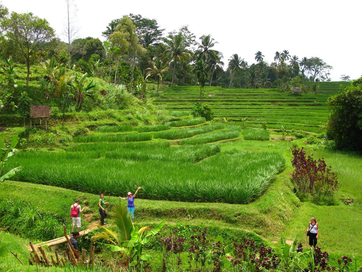 Prana Dewi Mountain Resort Jatiluwih Luaran gambar
