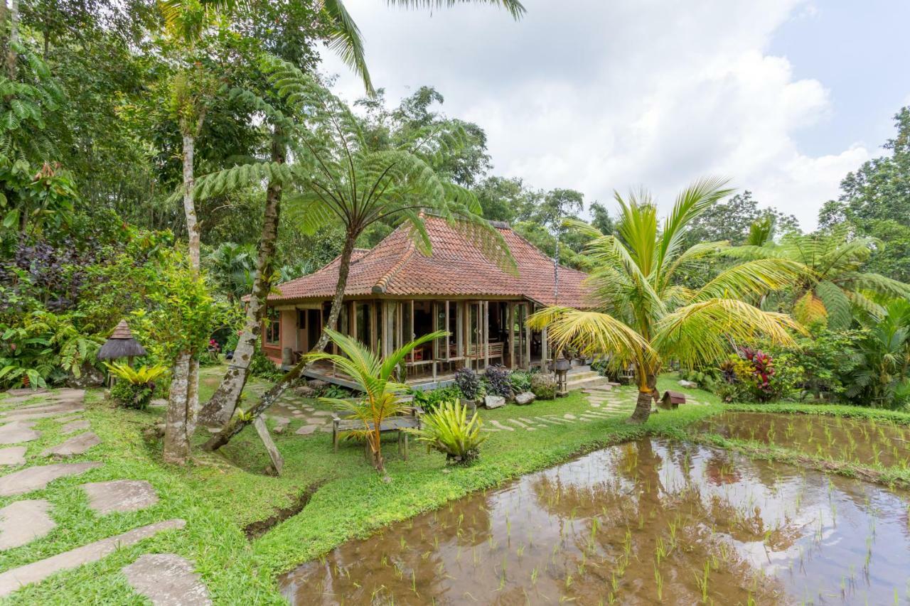 Prana Dewi Mountain Resort Jatiluwih Luaran gambar