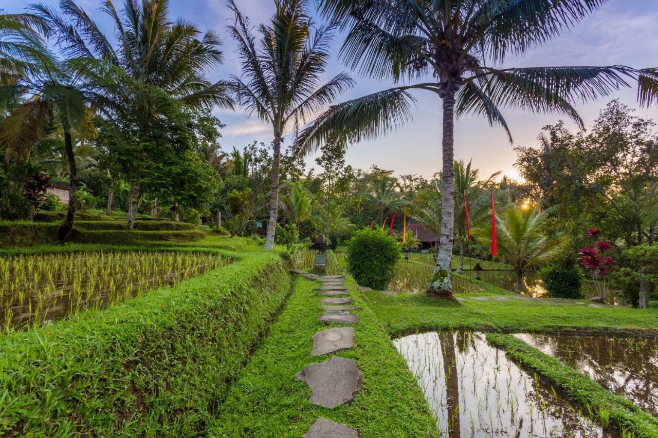 Prana Dewi Mountain Resort Jatiluwih Luaran gambar