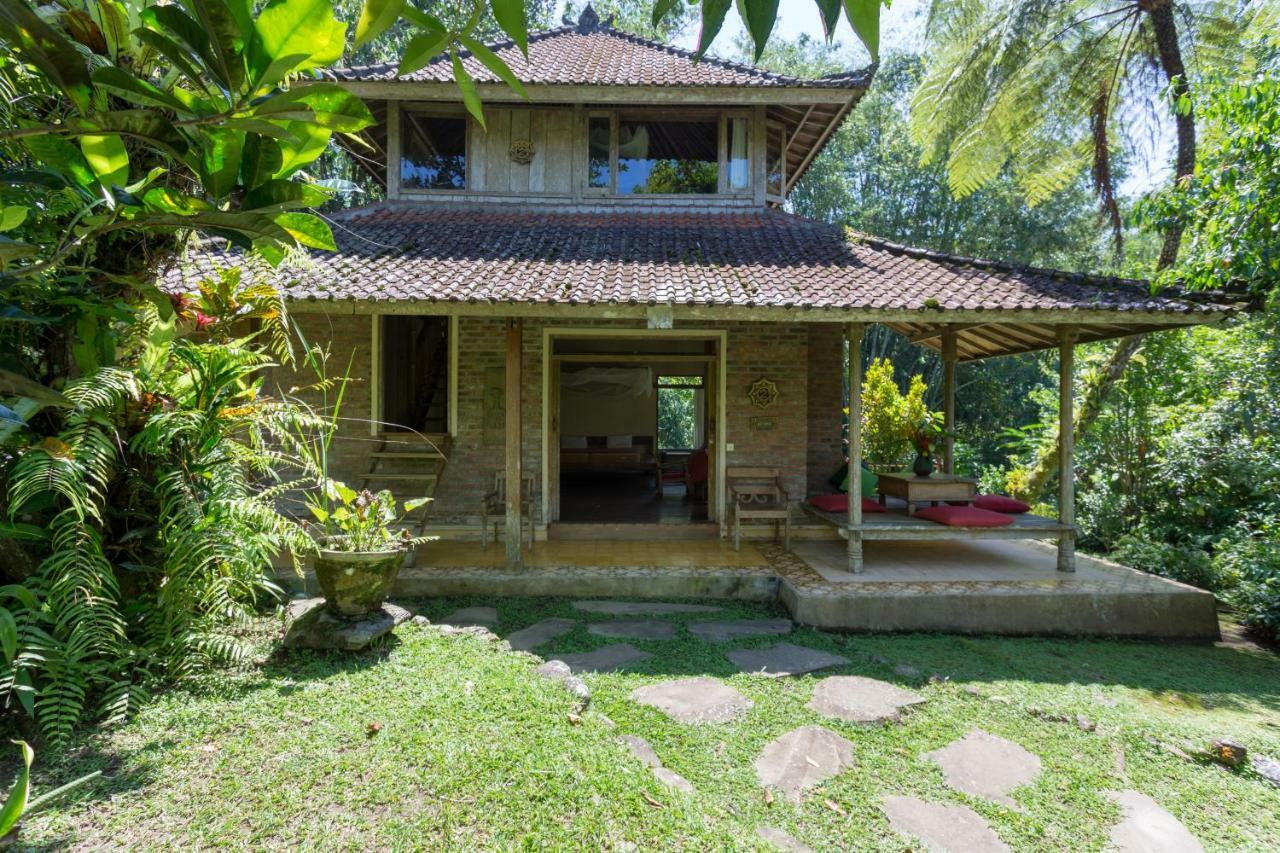 Prana Dewi Mountain Resort Jatiluwih Bilik gambar