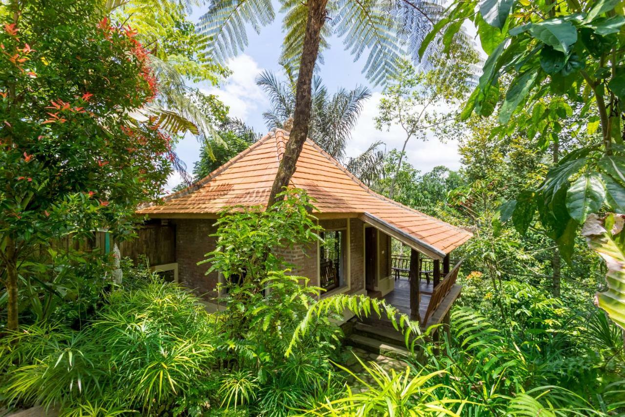 Prana Dewi Mountain Resort Jatiluwih Bilik gambar